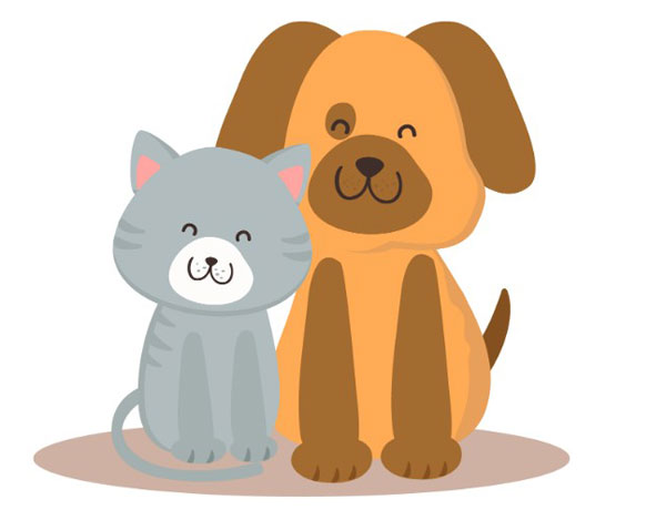 Cane e Gatto